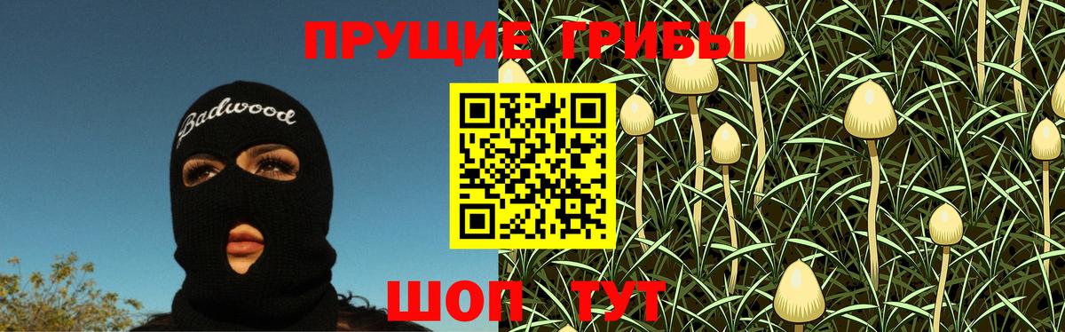 Тара  Галлюциногенные грибы Magic Shrooms  Вход с VPN 